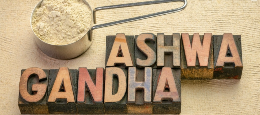 What is it for and what is it for? - XXLNUTRATION