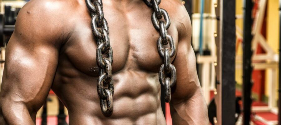 How to optimize muscle growth with a high program of C - XXLNUTRATION