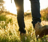 Everything you need to know about Walking – XXLNUTRATION