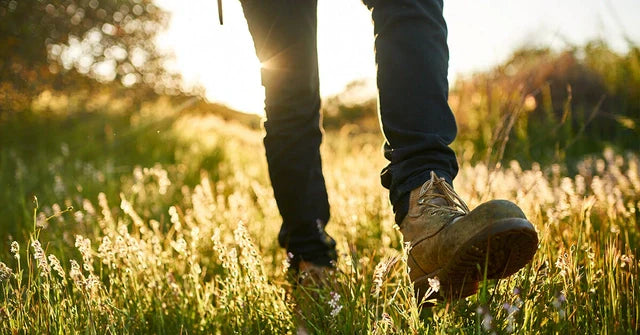 Everything you need to know about Walking - XXLNUTRATION