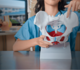 Internal front iliac column (eiai)