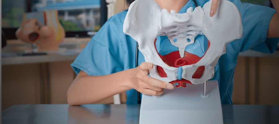 L'Épine Iliaque Antérieure Interne (EIAI)