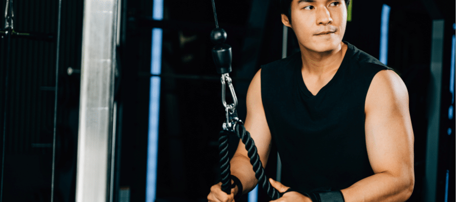 Les muscles du Triceps